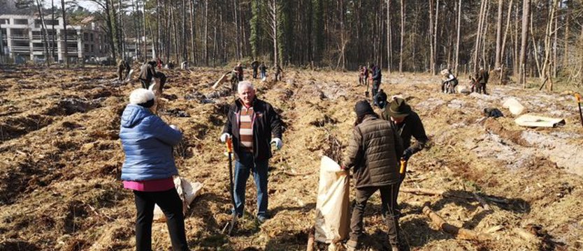 Sadzili las w Łukęcinie