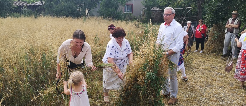 Żniwiarze zapraszają do Gosławia