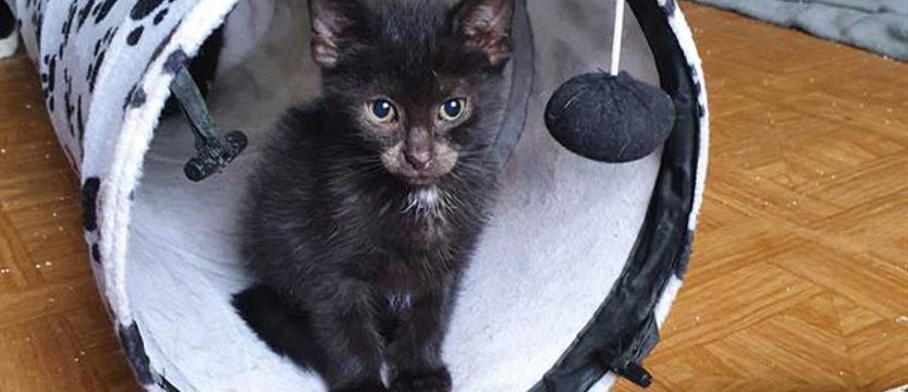 Nie tylko dla Bajki. Wyjątkowy koncert w „Słowianinie”