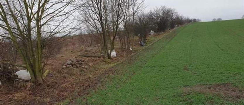 Mieszkańcy walczą z odorem