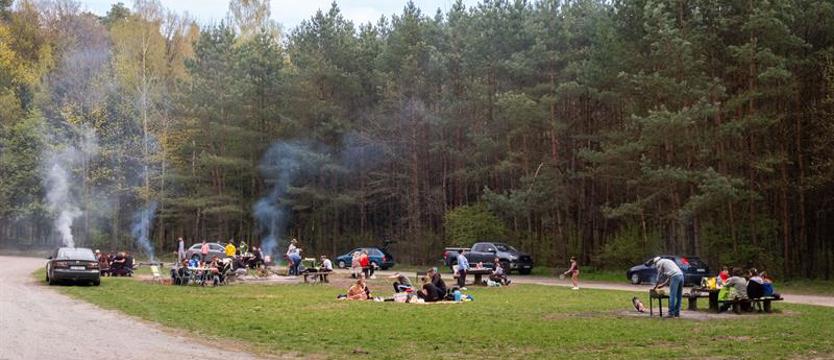 Majówka w lesie - pamiętaj o zasadach!