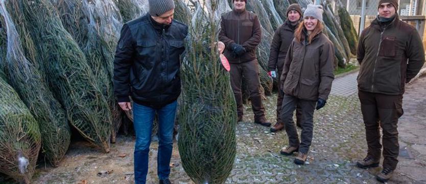 Oddaj krew, odbierz choinkę