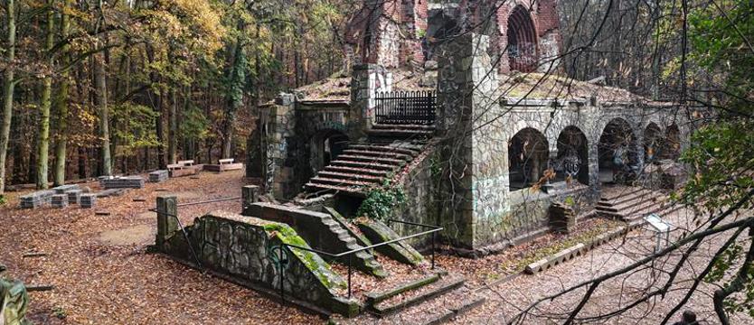Śladami historii i książek. Spacer z Polany Zielarza