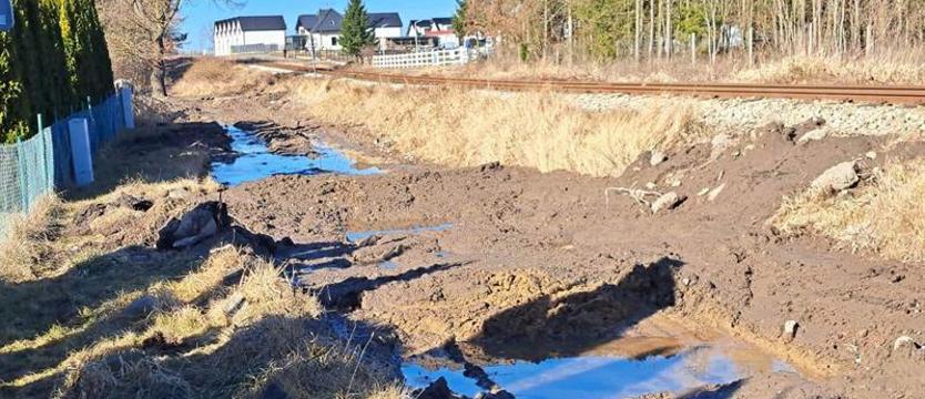 Nie mają jak wyjechać. Wracamy do tematu