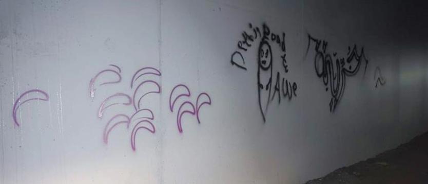 Sprayem po nowym moście. Wandale przed sądem