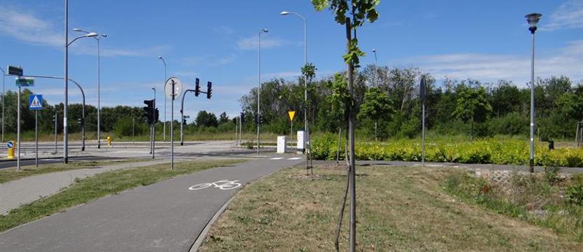 Bank nasadzeń – niczym bumerang. Pytanie o (miejskie) drzewa