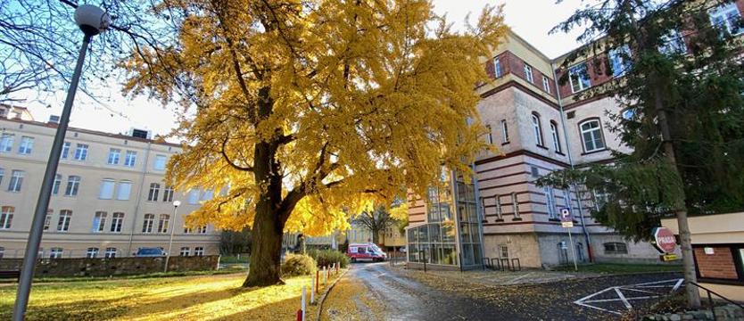 W chorobie hematoonkologicznej miej serce pod opieką