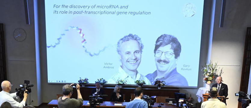 Badania mikroRNA, ważne dla zrozumienia chorób, nagrodzone medycznym Noblem