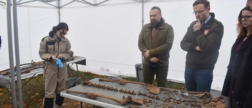 Zaskakujące odkrycie na terenie Stalagu II-D w Stargardzie. Znaleźli szczątki cywilnej ludności Warszawy