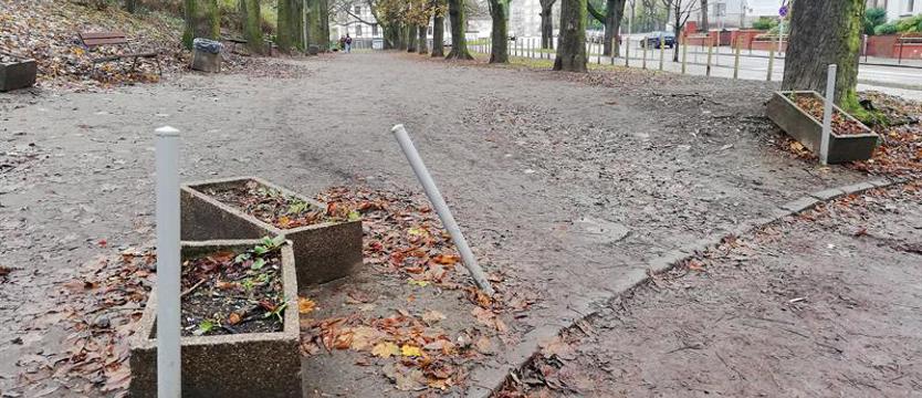 Dzbany, samochody i park