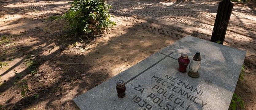 Szczecińscy naukowcy odkryli prochy 8 tysięcy ofiar nazizmu. Stare zbrodnie w cieniu zbrodni nowych