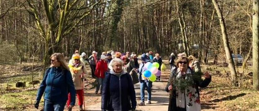 Kto do Rady Seniorów