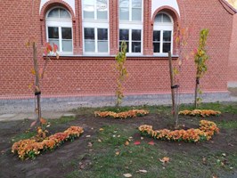 Kwiatowy klucz wiolinowy na placu zabaw szkoły muzycznej w Szczecinie