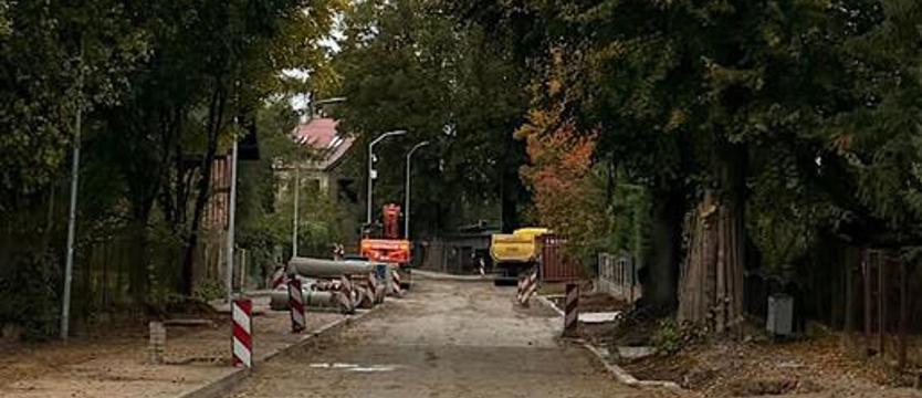 Pół na – więcej niż – pół. Smocze(j) drzewa