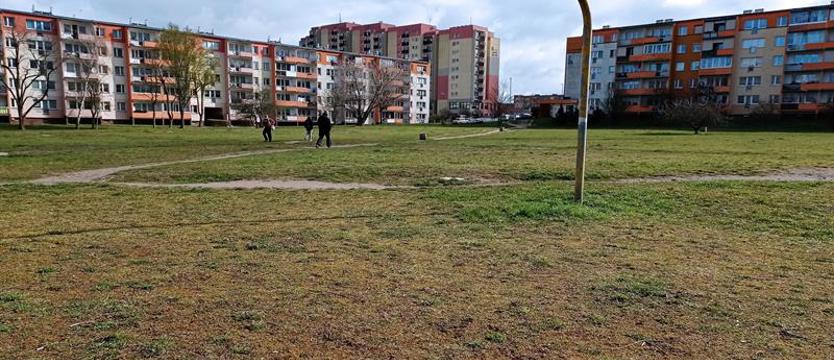 Psie pole nieprędko przemieni się w park. ZUK unieważnił przetarg na wykonawcę