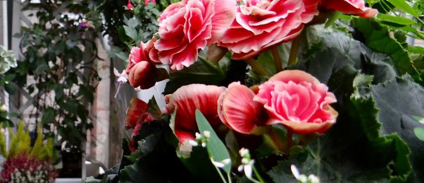 Wydłużyliśmy termin zgłoszeń!