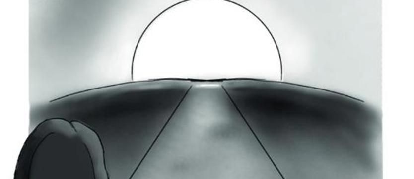 Profesjonaliści z „IX Wrót"