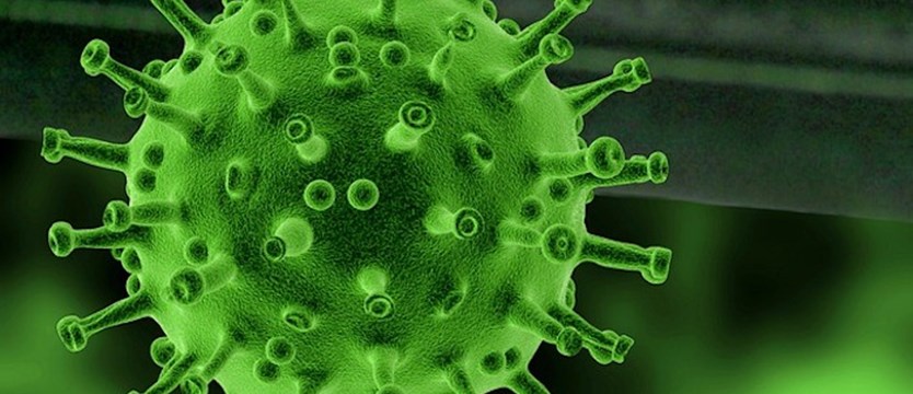 W kraju trochę ponad 2,4 tys. przypadków koronawirusa. Zmarło 45 osób