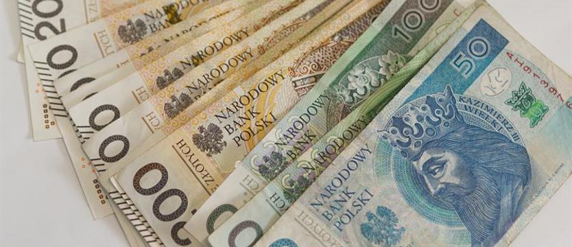 Seniorzy coraz bardziej cyfrowi