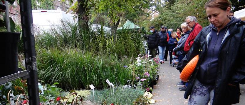 Przed nami smakowity ogród Wałów Chrobrego. Owocowe, ozdobne i pyszne