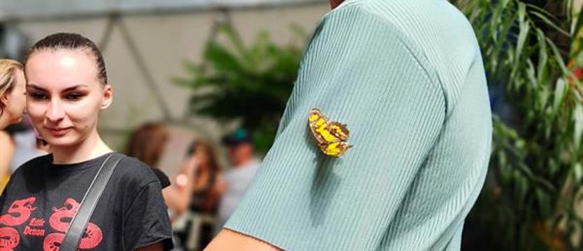 Przygoda z motylami. Sezonowa atrakcja w Niechorzu