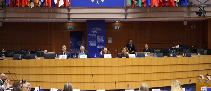 Europejskie regiony biją na alarm w sprawie demografii: trzeba zaangażować unijne fundusze