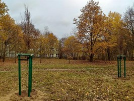 Nowe drzewa dla Szczecina