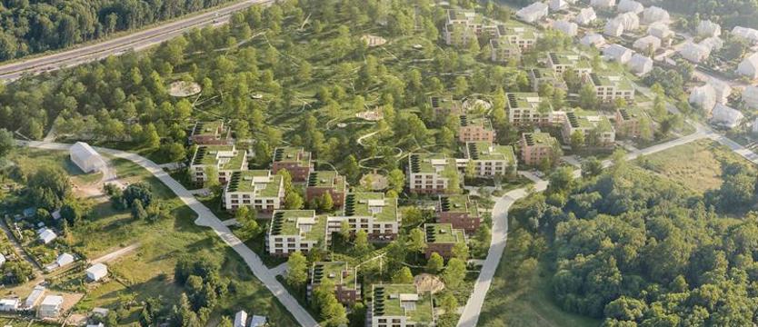 Spór o skalę zabudowy w Podjuchach