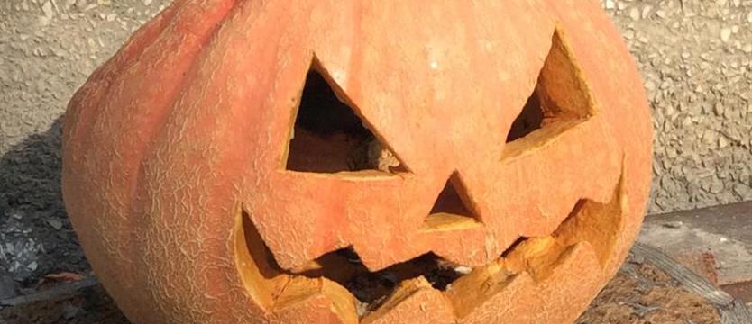 Dyniami straszono na polskiej wsi na długo przed modą na Halloween