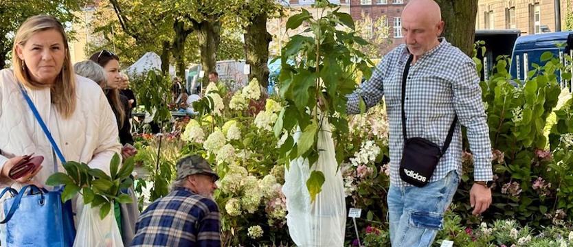 „Pamiętajcie o ogrodach”. Wielki kiermasz już trwa!