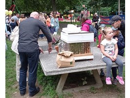 Sobota w parku Chopina. Pchli targ i festyn pod znakiem pszczoły
