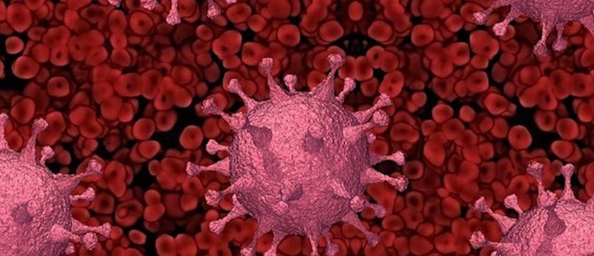 W czwartek w kraju około 8,5 tysiąca nowych zakażeń wirusem SARS-CoV-2. Zmarło 541 osób