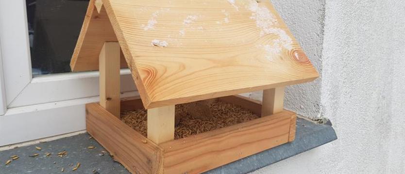 Odbierz karmnik, pomóż ptakom. Skrzydlatym wrzuć ziarno, nie częstuj chlebem