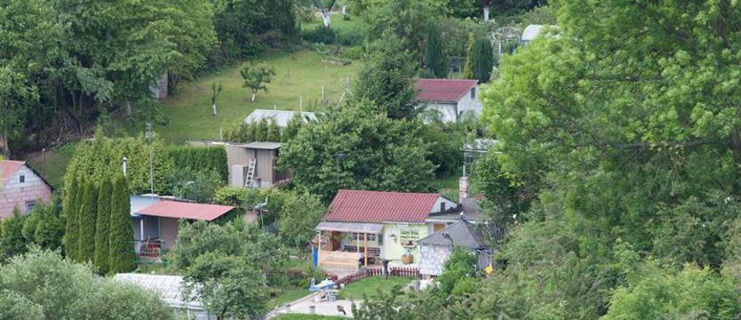 Biletowana rodzinna impreza na działkach. Uczestnicy dowiezieni autobusami