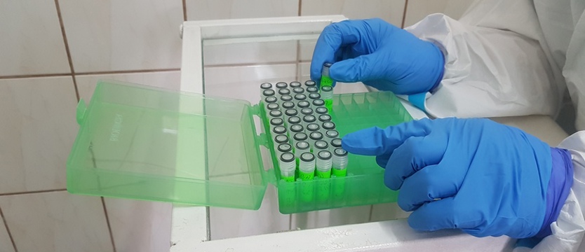 W Zachodniopomorskiem 214 przypadków koronawirusa. Zmarły 2 osoby