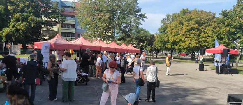 Pozarządowcy na pikniku. Przyjdź i poznaj