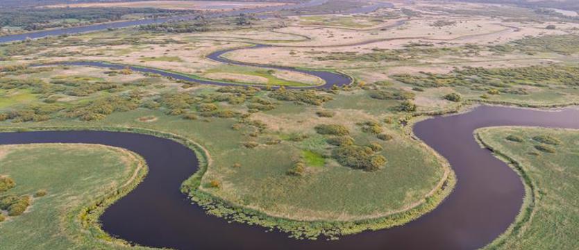 Na zachodniopomorskim szlaku. Łabędzica z Międzyodrza