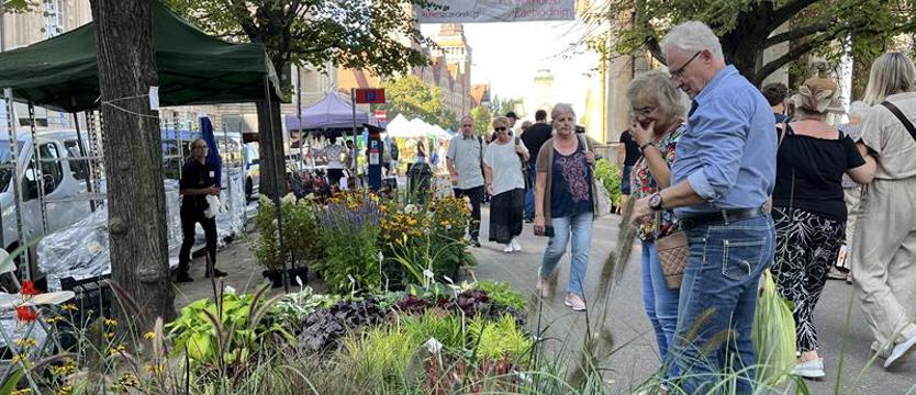 Jubileuszowe „Pamiętajcie o ogrodach". Wyróżnienie dla naszego „Kuriera Szczecińskiego"