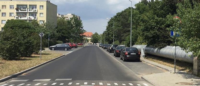 Zielone Pogodno? Czas na spacer