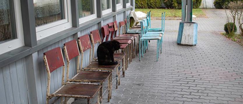 Ze zwierzakiem do przytuliska? Miłość silniejsza niż troska o własne życie