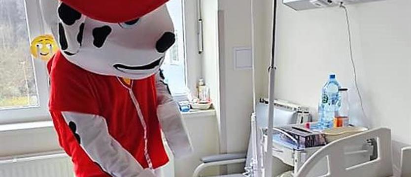 Marshall w „Zdrojach”. Pies do zadań specjalnych odwiedził dzieci