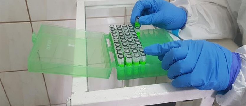 W regionie w poniedziałek 962 zakażenia wirusem SARS-CoV-2. Zmarły 2 osoby