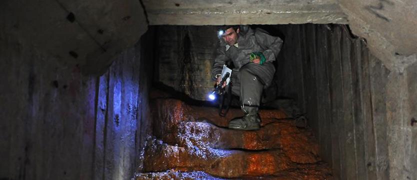 Miasto może uwzględni. Bezpieczeństwo i tajemnice