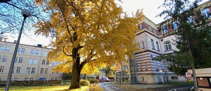 Niespełniona lista 21. Gdzie uznanie (dla) pomników przyrody?