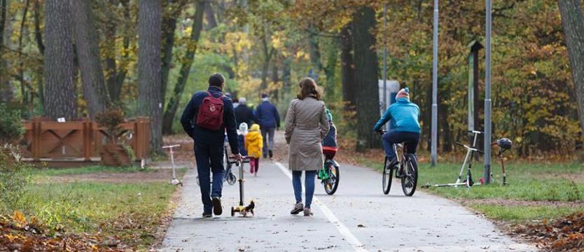 Spacer po Lesie Arkońskim