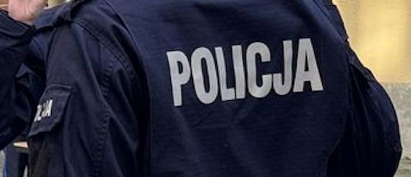 Zatrzymano właściciela psów, które śmiertelnie pogryzły mężczyznę przy trasie S3