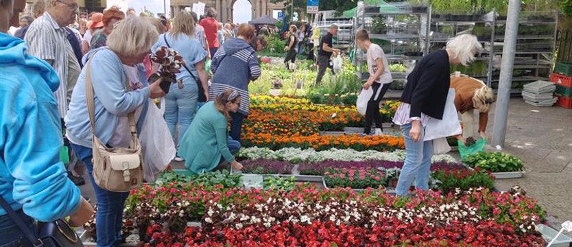 Rajski weekend Wałów Chrobrego. Kiermasze: ogrodniczy i regionalnego jadła