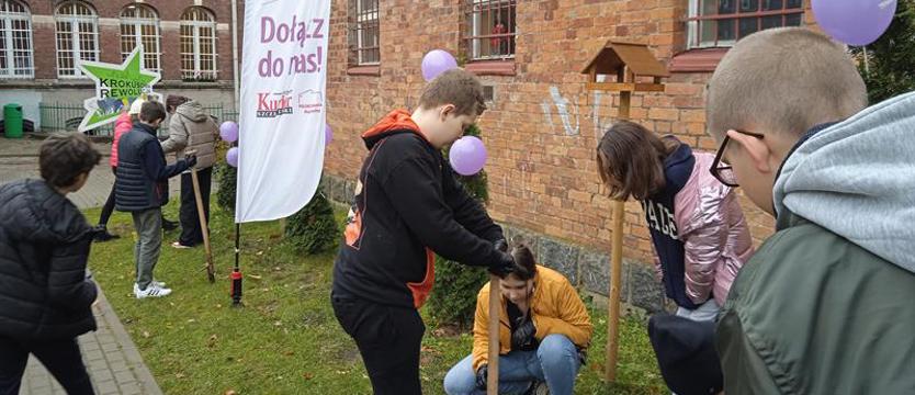 Krokusy: dla dobra wspólnego. Wstęp do „ogrodu zmysłów"