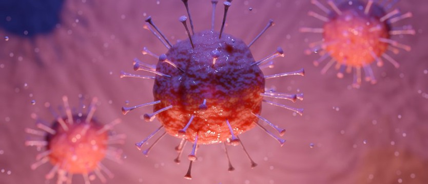 Ponad 25 tysięcy nowych zakażeń w kraju. Zmarło 430 osób