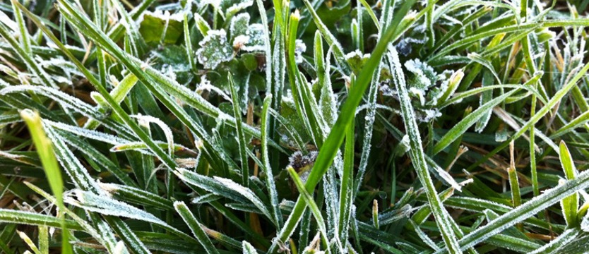 IMGW ostrzega przed przymrozkami w całym kraju